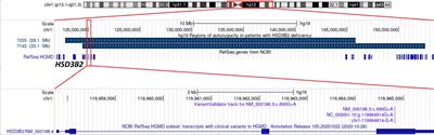 High carrier frequency of a nonsense p.Trp230* variant in HSD3B2 gene in Ossetians